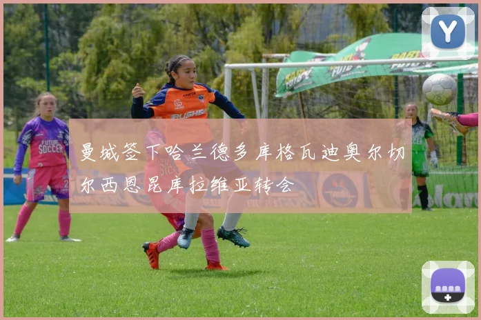 曼城签下哈兰德多库格瓦迪奥尔切尔西恩昆库拉维亚转会