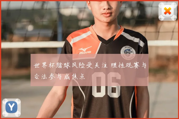 世界杯赌球风险受关注 理性观赛与合法参与成焦点