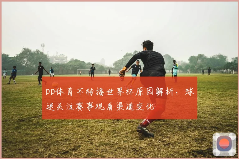 pp体育不转播世界杯原因解析，球迷关注赛事观看渠道变化