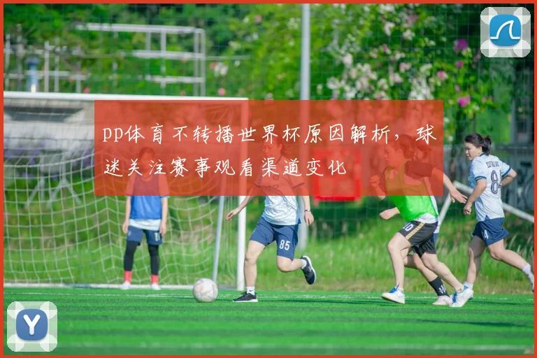 pp体育不转播世界杯原因解析,球迷关注赛事观看渠道变化