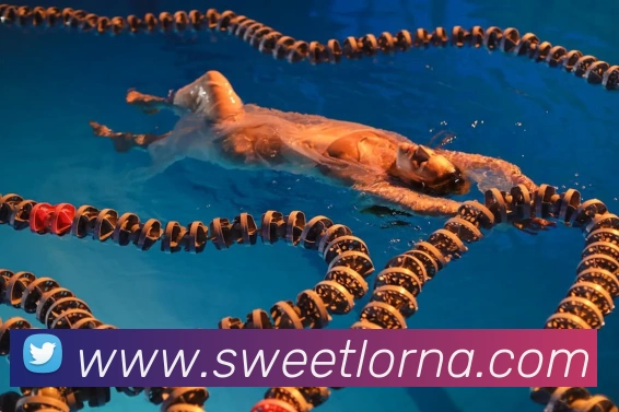 emc易倍官方官网平台生态图