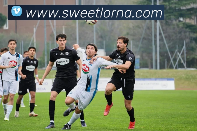 emc易倍官方官网APP 封面图